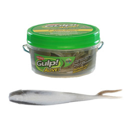 Приманка малек Berkley Gulp Alive Minnow GAPMI3-SMLT 36шт. SMELT (1130360) Приманка малек Berkley Gulp Alive Minnow GAPMI3-SMLT 36шт. SMELT (1130360)