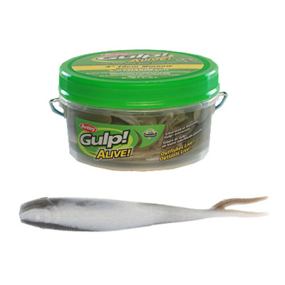 Приманка малек Berkley Gulp Alive Minnow GAPMI3-SMLT 36шт. SMELT (1130360) Приманка малек Berkley Gulp Alive Minnow GAPMI3-SMLT 36шт. SMELT (1130360)