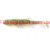 Silver prawn