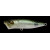 цвет: GP CRYSTAL SHAD (18251)