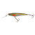 цвет: Golden Shiner FS9-M-GSH(1095761)